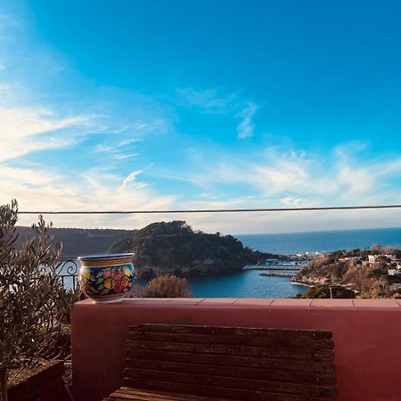 Sole Chiaro Home Procida Zewnętrze zdjęcie