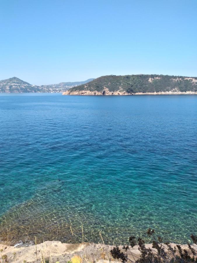 Sole Chiaro Home Procida Zewnętrze zdjęcie